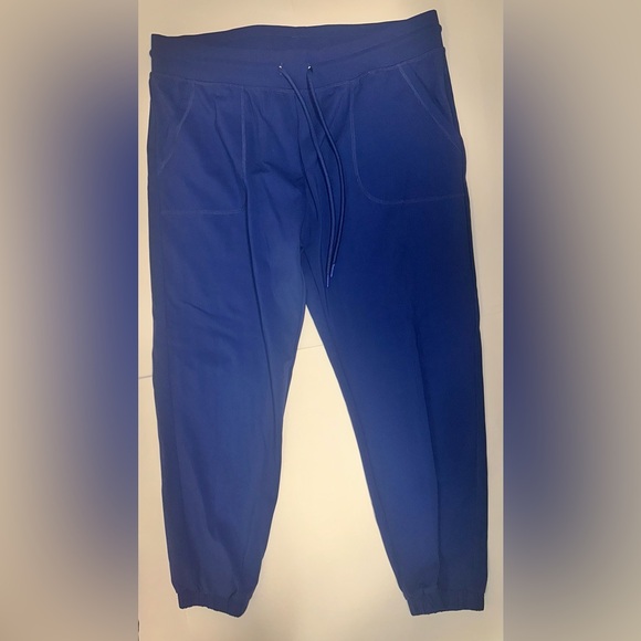 Zyia Active Pants - Zyia Active Unwind Blue Joggers Hiking Athleisure Athletic Pull On Women’s Sz L